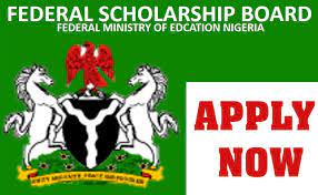 Scholarship Program of the Federal Government