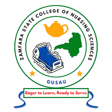 School of Nursing & Basic Midwifery Gusau Past Questions and Answers