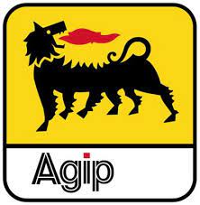 AGIP Scholarship Past Questions and Answers